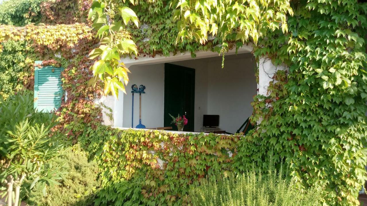 Appartamenti Salato Tropea Buitenkant foto